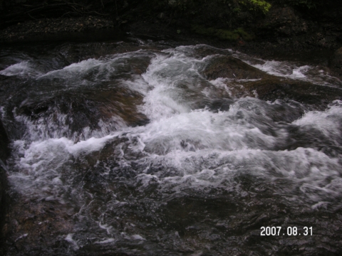 s_PICT0627.jpg